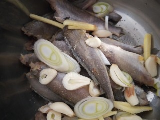清蒸小黄鱼,放入葱姜蒜，料酒，白胡椒，盐，抓均匀淹制。