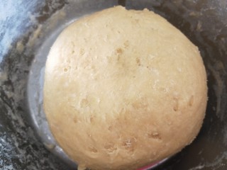 红豆沙拉丝面包,合成面团。