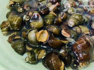 爆炒田螺肉,买回来的田螺，是剪完尾巴的，先养在清水里；
