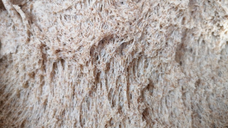 全麦粉馒头卷,一个小时左右，面团就发酵好了，用手抓起面团底部看看，这就是面团发酵好的样子。