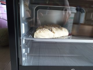 全麦面包,发酵好的面团，放入烤箱上下管，170°C中层，20分钟