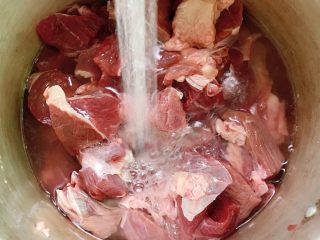 牛肉烧胡萝卜,放入锅中，加入清水