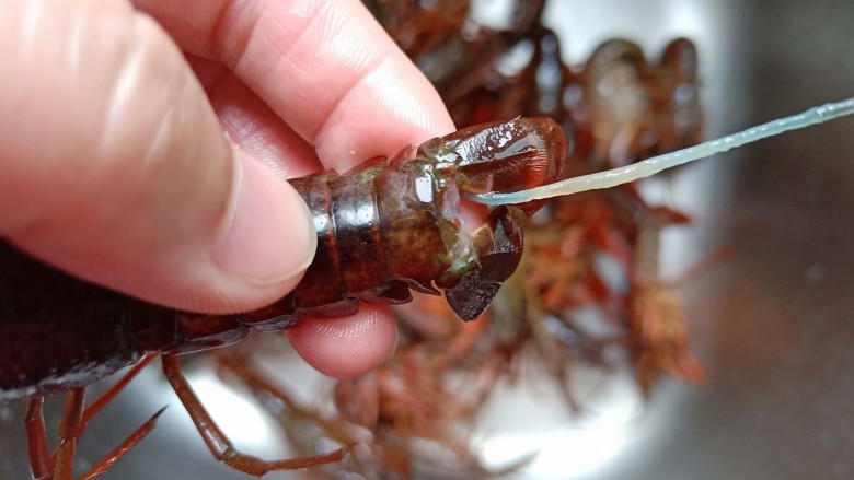 蒜香小龙虾,一手揪着虾头，一手拉虾尾中间位置，轻轻一拉虾线就出来了，是不是很方便呀！要想入味可以用剪刀在龙虾侧面剪一下。