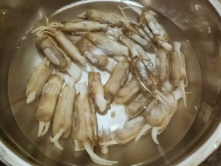 葱油蛏子,蛏子吐沙后 清洗干净  放入开水中