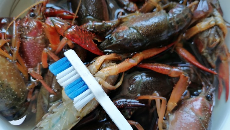 蒜香小龙虾,用牙刷将龙虾每个部位都清洗一遍