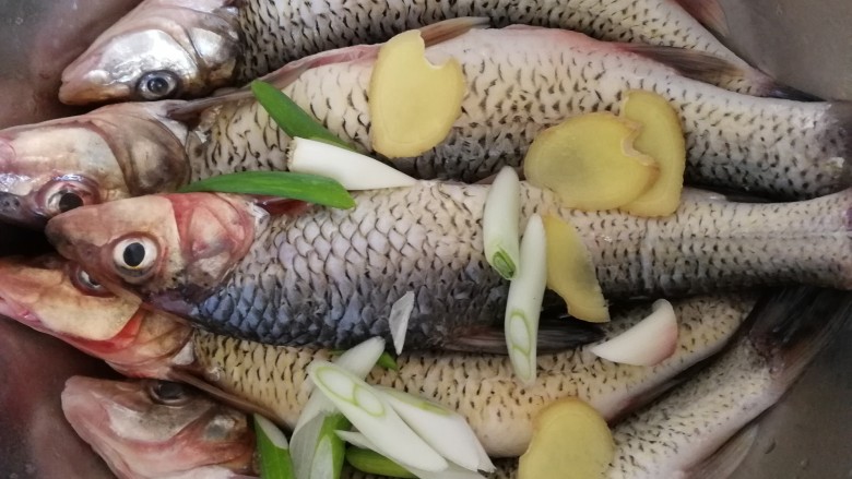煎焖开江鱼,放入葱段和姜片，腌制。