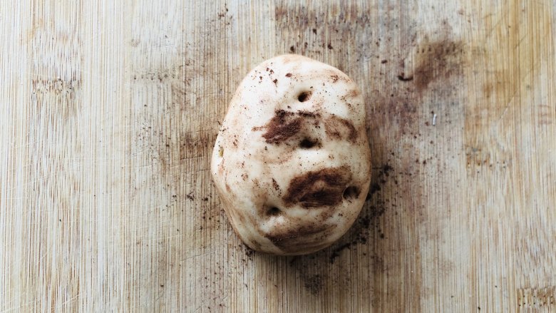 土豆馒头,用毛刷在面团表面先刷一层可可粉，然后在戳几个洞。