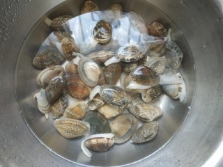 麻辣花蛤,花蛤放入适量盐泡一晚上，然后清洗干净