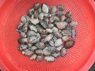 麻辣花蛤,把花蛤冲洗干净，沥干水份备用