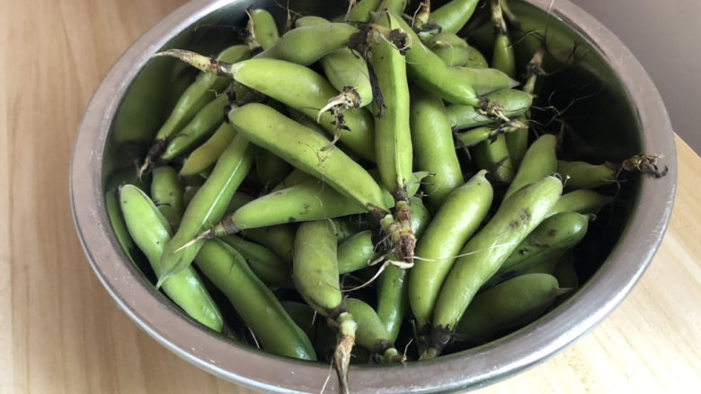 葱油蚕豆➕稻陂无处不青青,新鲜的蚕豆约600g