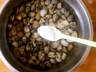 麻辣花蛤,花蛤放入水中，加一小勺盐吐沙。