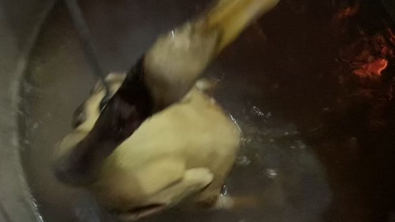 白切鸭,水再次开把鸭子在锅里拎起来，主要是把鸭子身体里的水倒水，避免里面水温不变隔着鸭身体就会变低，鸭肉就会出现不熟的情况。