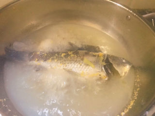 鲫鱼豆腐汤,将鱼倒进热水中开煮