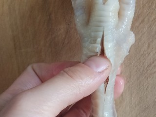 无骨蒜香鸡爪,用刀在鸡爪背部下端划一刀长长的口，用大拇指沿着这个刀口从上至下划一遍，使肉和骨头分离开，如图