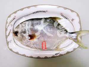 红烧菜谱,<a style='color:red;display:inline-block;' href='/shicai/ 388'>鲳鱼</a>洗净，去五脏，肚子里一定要冲洗干净。
用厨房纸将鱼身体的水份擦干，肚子里也要擦干。