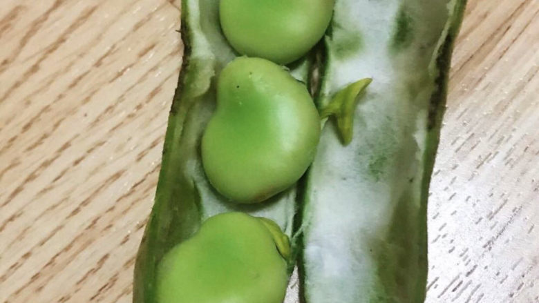 五香蚕豆,蚕豆外皮看起来不是很新鲜不过剥开里面的蚕豆宝宝还是可以的