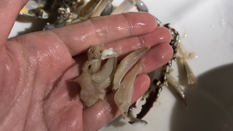 螃蟹炒年糕,启开蟹盖，削除蟹腮和小绒毛，蟹钳要用刀略拍出裂纹为好。