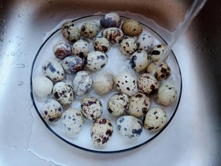 香菇鹌鹑蛋,清水洗去鹌鹑蛋表面的脏东西。