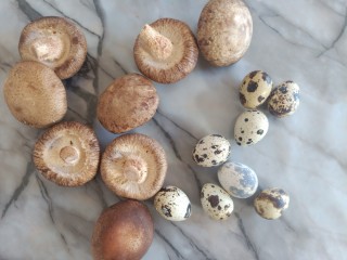 香菇鹌鹑蛋,材料集合。只有两样食材哟