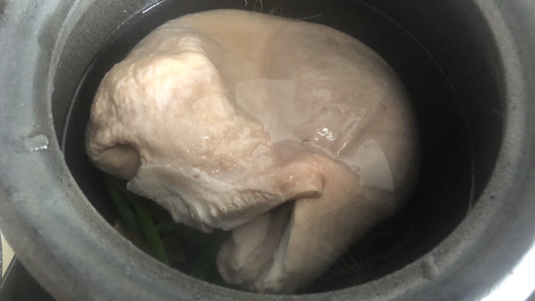 凉拌猪肚丝,猪肚放入砂锅，注入适量清水。