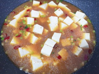 家常烧豆腐,下入腌制过的豆腐烧开，中小火炖15分钟。