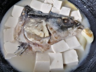 豆腐鱼头汤,煮至鱼汤浓稠奶白色即可
