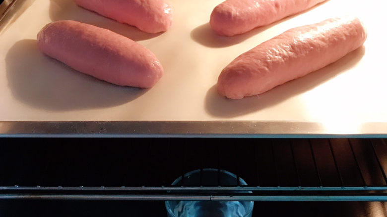 紫薯提子包,放到烤箱中二发，下面放一杯热水帮助发酵
