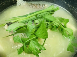 豆腐鱼头汤,撒芹菜和蒜叶