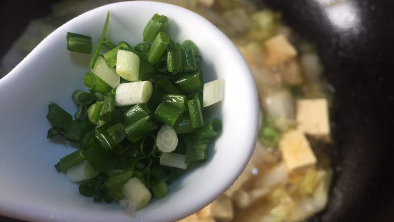 白菜炖豆腐,加葱花即可关火出锅