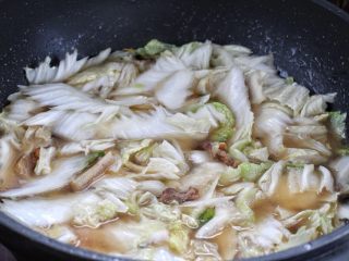 白菜炖豆腐,倒入适量清水与白菜持平，盖上锅盖大火烧至汤汁沸腾。