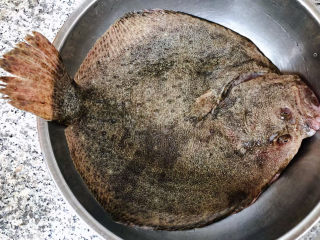 炸鱼块,鲜活的多宝鱼摘去鱼鳃和内脏刮去鱼鳞洗净沥干水份
