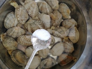 丝瓜花蛤汤,花蛤淡盐水里静止泡1个小时以上，吐沙。