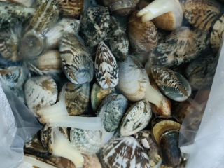 丝瓜花蛤汤,市场买的花蛤，先养水里吐沙