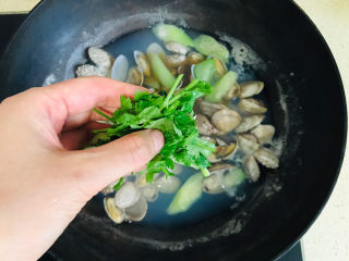 丝瓜花蛤汤,最后撒上香菜