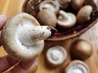 孜然烤香菇,买香菇时要挑选厚实一点的香菇。把香菇根部剪掉。