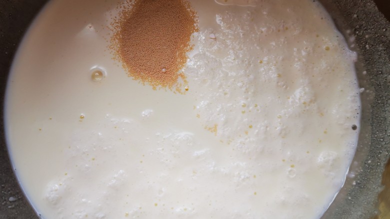 山药馒头,用温水将奶粉冲调成牛奶，加三克酵母粉