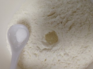 糖火烧,面粉里加入酵母和小苏打。