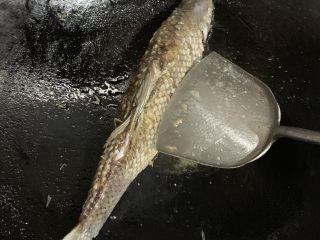 蒜香煎鱼,鱼身煎半分钟铲子轻轻把鱼身立起来，煎鱼肚子，也是一样的时间。