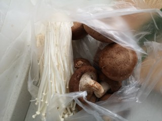 老鸭煲,香菇，金针菇摘洗干净
