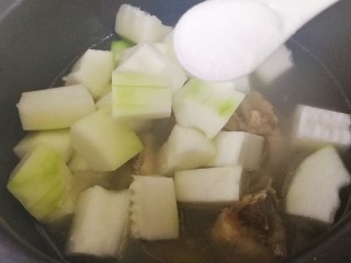 冬瓜猪骨汤,还剩30分钟的时候，放入冬瓜，放一小勺盐，继续煲半小时。