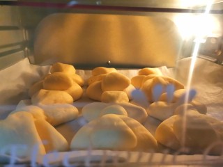 蝴蝶结面包,醒好的面包上170度，下180度烤15分钟（时间可根据自己的烤箱而定）