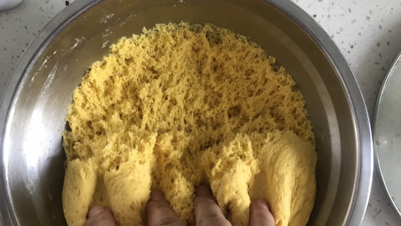 南瓜紫薯包,发酵好的面团，用手抓能看到蜂窝组织
