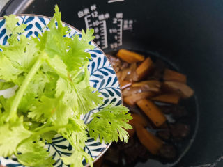 胡萝卜炖牛腩,入香菜