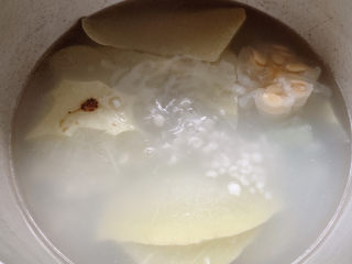 冬瓜薏米汤,大约煮30分钟以上，汤水就会呈现出淡淡的白色，尝试下薏米仁的软烂程度，喜欢吃软烂一些的可加时煲煮。