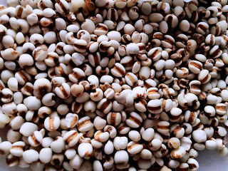 红豆薏米糊,薏米选颗粒饱满圆润的，没有异味的。