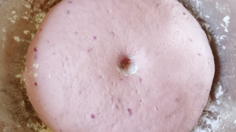 紫薯小馒头,盖上保鲜膜醒发至两倍大，用手指沾点干粉从中间戳一个洞，面团没有反弹证明面团已经发好了。