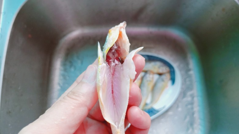 香辣小黄鱼,用剪刀或者小刀从鱼尾开始往上把鱼鳞刮干净。剪刀从鱼肚尾部剪开，去除不能吃的位置。