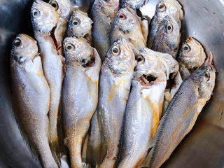 香辣小黄鱼,新鲜的黄鱼摘去鱼鳃和内脏洗尽沥干水份