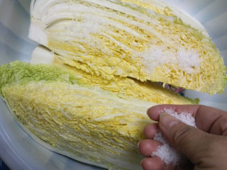 自制泡菜,将泡菜盐一层一层地均匀抹在白菜上