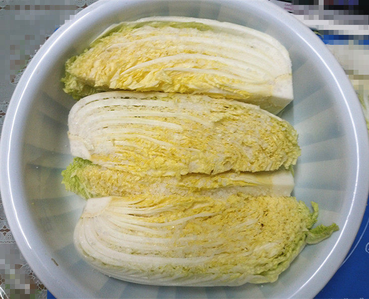 自制泡菜,放至面盆中，腌制12小时以上，中途需上下翻面
